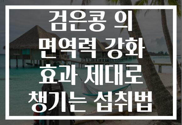 검은콩 의 면역력 강화 효과 제대로 챙기는 섭취법