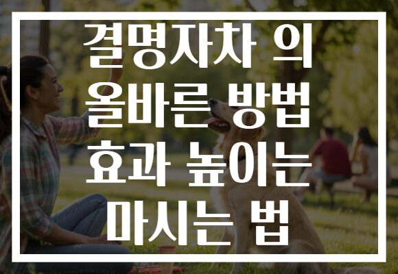 결명자차 의 올바른 방법 효과 높이는 마시는 법