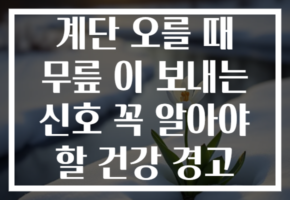 계단 오를 때 무릎 이 보내는 신호 꼭 알아야 할 건강 경고