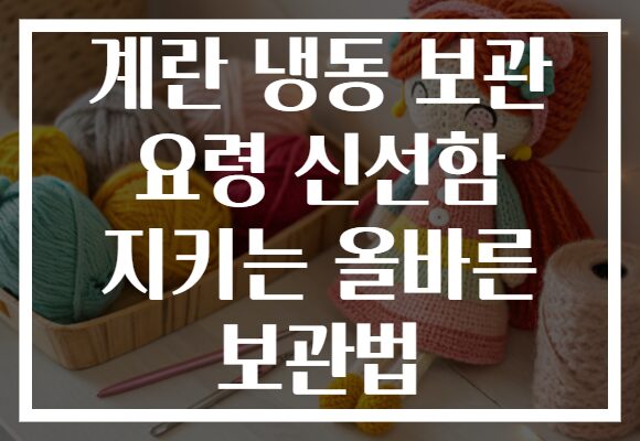계란 냉동 보관 요령 신선함 지키는 올바른 보관법