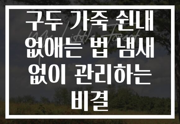 구두 가죽 쉰내 없애는 법 냄새 없이 관리하는 비결