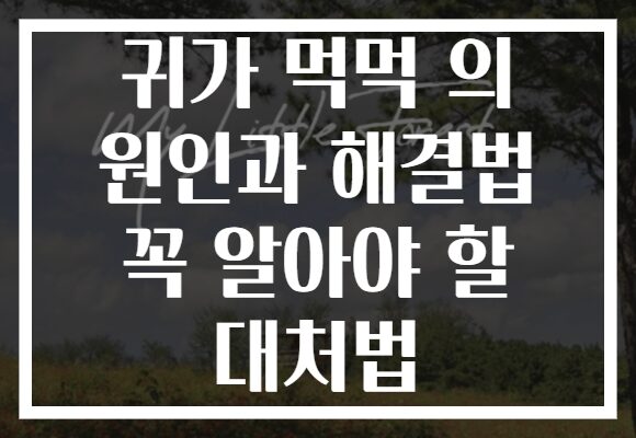 귀가 먹먹 의 원인과 해결법 꼭 알아야 할 대처법