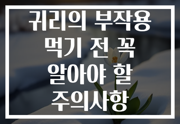귀리의 부작용 먹기 전 꼭 알아야 할 주의사항