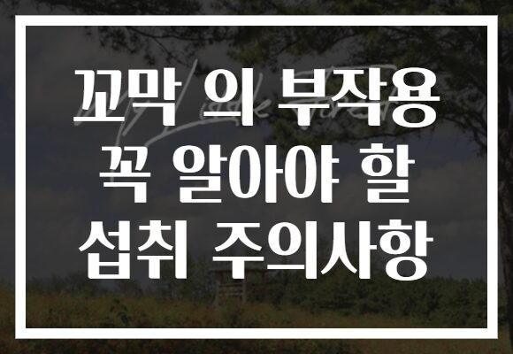 꼬막 의 부작용 꼭 알아야 할 섭취 주의사항
