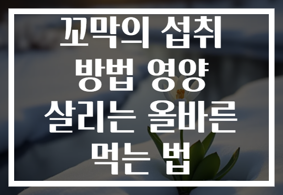꼬막의 섭취 방법 영양 살리는 올바른 먹는 법