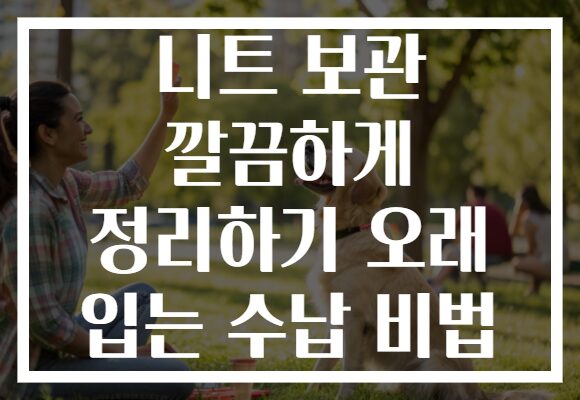 니트 보관 깔끔하게 정리하기 오래 입는 수납 비법