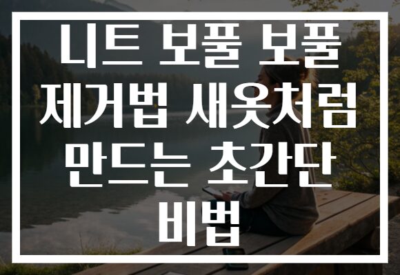 니트 보풀 보풀 제거법 새옷처럼 만드는 초간단 비법