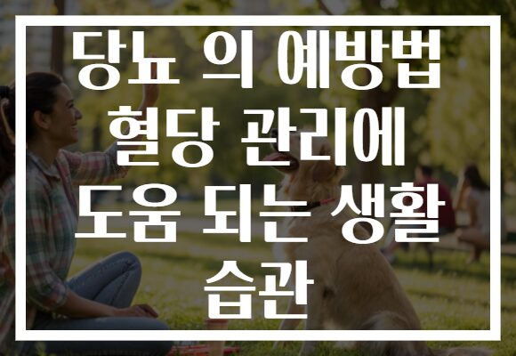 당뇨 의 예방법 혈당 관리에 도움 되는 생활 습관