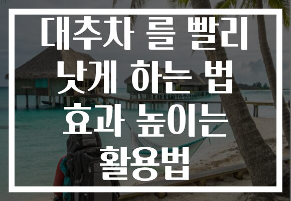 대추차 를 빨리 낫게 하는 법 효과 높이는 활용법