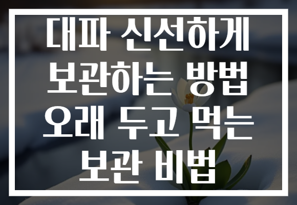 대파 신선하게 보관하는 방법 오래 두고 먹는 보관 비법