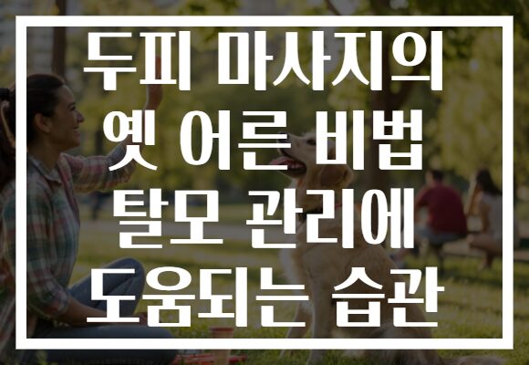 두피 마사지의 옛 어른 비법 탈모 관리에 도움되는 습관
