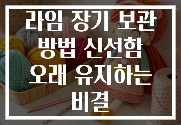 라임 장기 보관 방법 신선함 오래 유지하는 비결