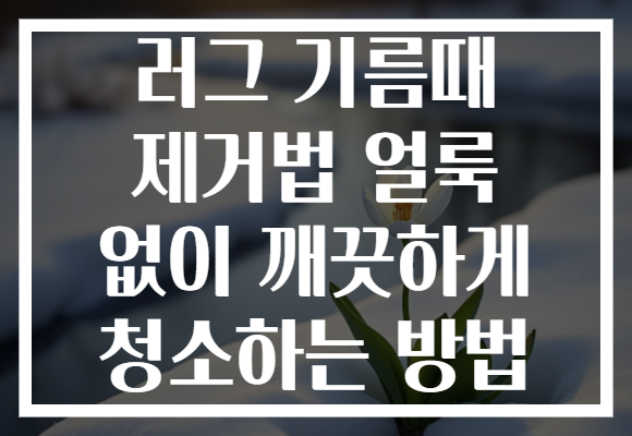 러그 기름때 제거법 얼룩 없이 깨끗하게 청소하는 방법