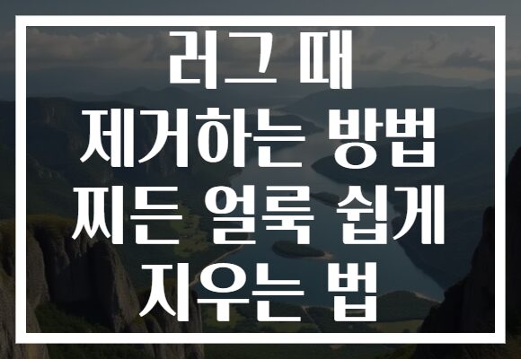 러그 때 제거하는 방법 찌든 얼룩 쉽게 지우는 법