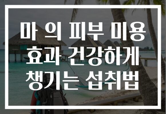 마 의 피부 미용 효과 건강하게 챙기는 섭취법