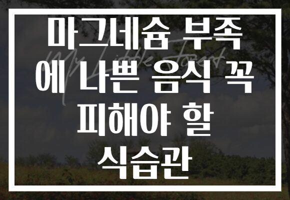 마그네슘 부족 에 나쁜 음식 꼭 피해야 할 식습관