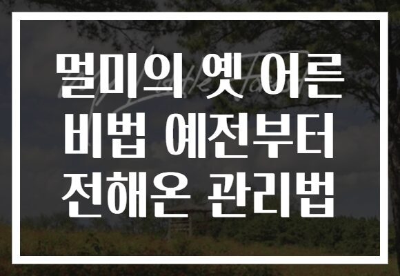 멀미의 옛 어른 비법 예전부터 전해온 관리법