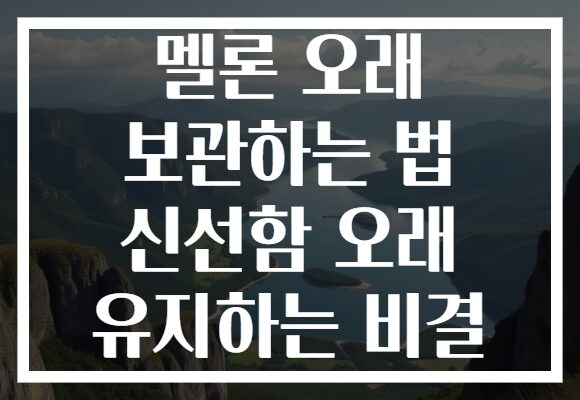 멜론 오래 보관하는 법 신선함 오래 유지하는 비결