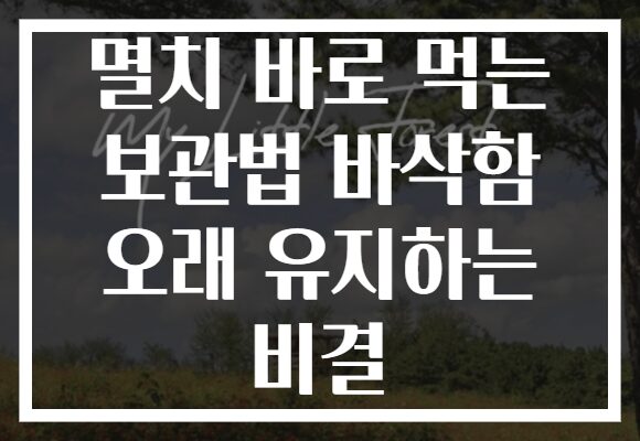 멸치 바로 먹는 보관법 바삭함 오래 유지하는 비결