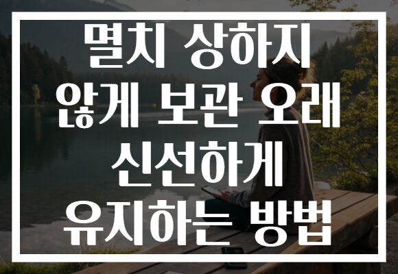 멸치 상하지 않게 보관 오래 신선하게 유지하는 방법