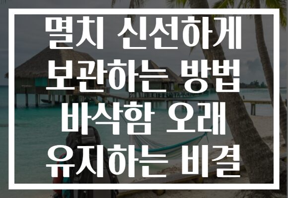멸치 신선하게 보관하는 방법 바삭함 오래 유지하는 비결
