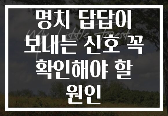 명치 답답이 보내는 신호 꼭 확인해야 할 원인