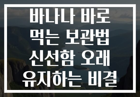 바나나 바로 먹는 보관법 신선함 오래 유지하는 비결