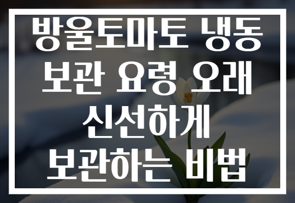 방울토마토 냉동 보관 요령 오래 신선하게 보관하는 비법