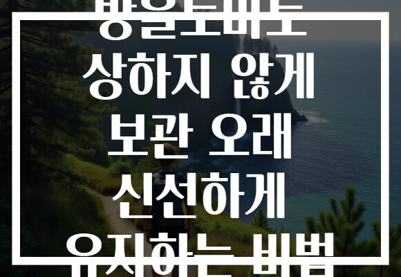 방울토마토 상하지 않게 보관 오래 신선하게 유지하는 비법