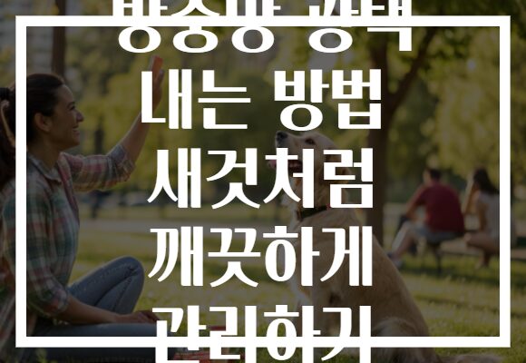 방충망 광택 내는 방법 새것처럼 깨끗하게 관리하기