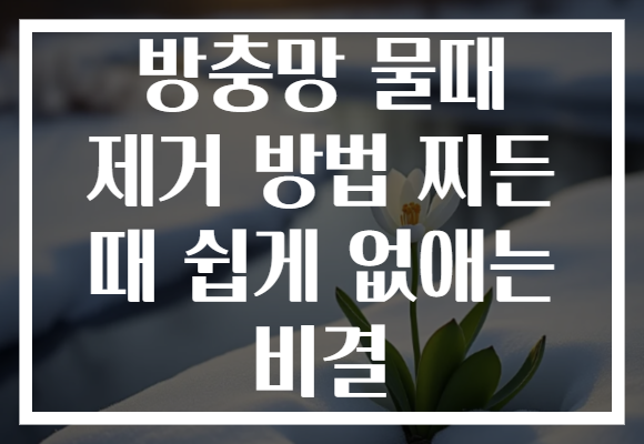 방충망 물때 제거 방법 찌든 때 쉽게 없애는 비결