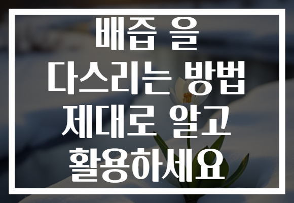 배즙 을 다스리는 방법 제대로 알고 활용하세요