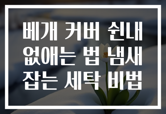베개 커버 쉰내 없애는 법 냄새 잡는 세탁 비법