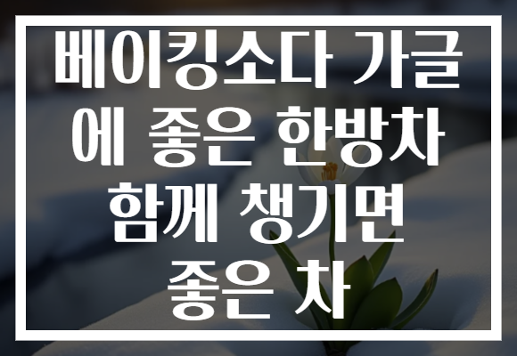 베이킹소다 가글 에 좋은 한방차 함께 챙기면 좋은 차