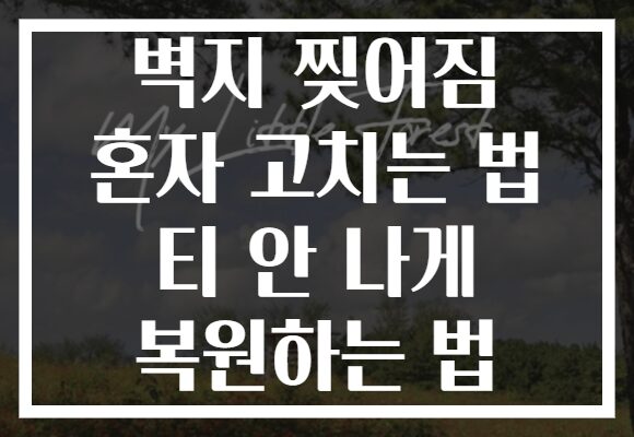 벽지 찢어짐 혼자 고치는 법 티 안 나게 복원하는 법