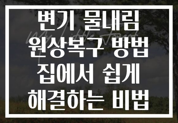 변기 물내림 원상복구 방법 집에서 쉽게 해결하는 비법
