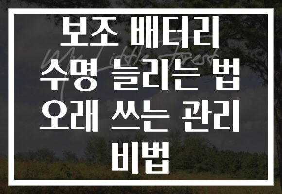 보조 배터리 수명 늘리는 법 오래 쓰는 관리 비법