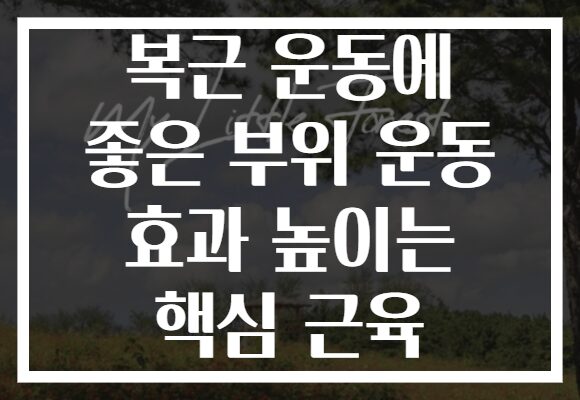 복근 운동에 좋은 부위 운동 효과 높이는 핵심 근육