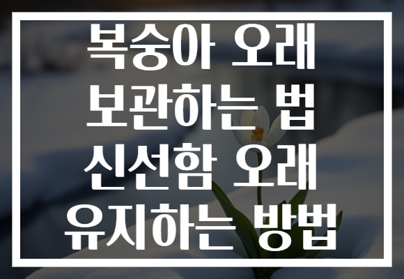복숭아 오래 보관하는 법 신선함 오래 유지하는 방법