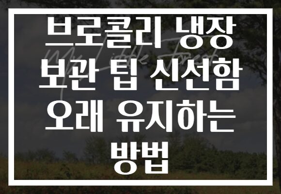 브로콜리 냉장 보관 팁 신선함 오래 유지하는 방법