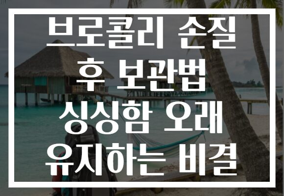 브로콜리 손질 후 보관법 싱싱함 오래 유지하는 비결