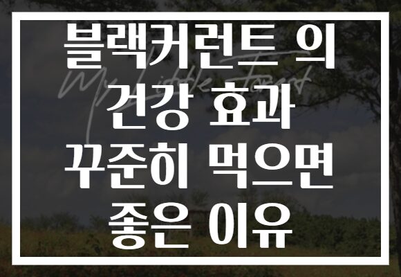 블랙커런트 의 건강 효과 꾸준히 먹으면 좋은 이유