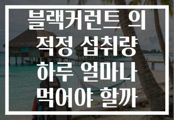 블랙커런트 의 적정 섭취량 하루 얼마나 먹어야 할까