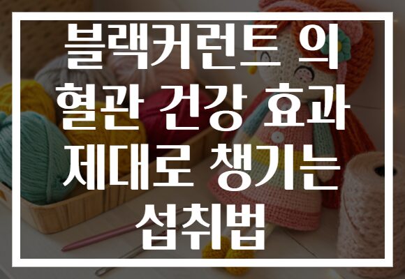 블랙커런트 의 혈관 건강 효과 제대로 챙기는 섭취법