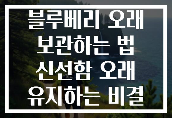 블루베리 오래 보관하는 법 신선함 오래 유지하는 비결