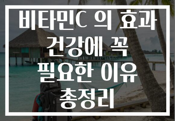 비타민C 의 효과 건강에 꼭 필요한 이유 총정리