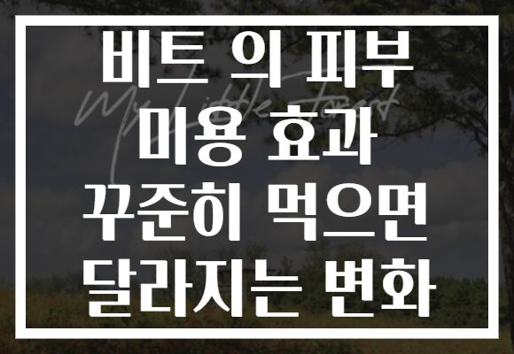 비트 의 피부 미용 효과 꾸준히 먹으면 달라지는 변화