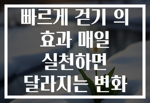 빠르게 걷기 의 효과 매일 실천하면 달라지는 변화