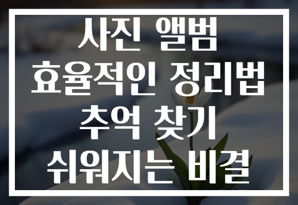 사진 앨범 효율적인 정리법 추억 찾기 쉬워지는 비결
