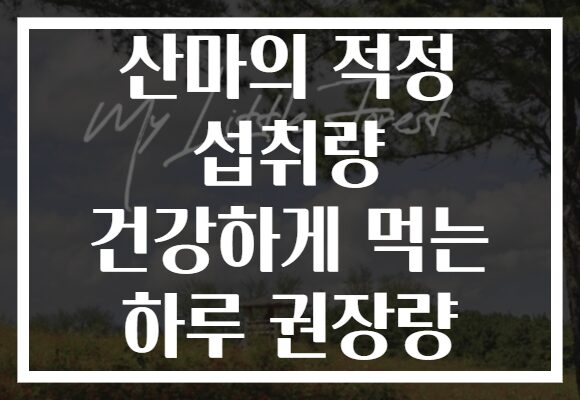 산마의 적정 섭취량 건강하게 먹는 하루 권장량